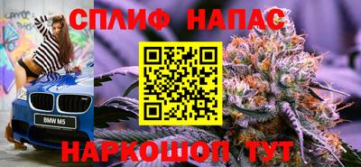 МДПВ Партизанск