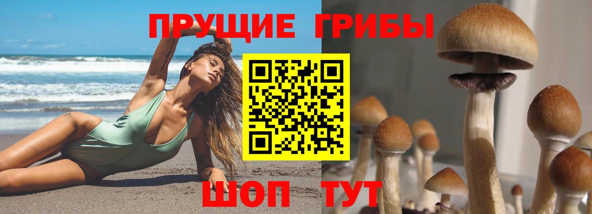 Галлюциногенные грибы Psilocybe  Вход с VPN  Псилоцибиновые грибы ЛСД  Старая Купавна 