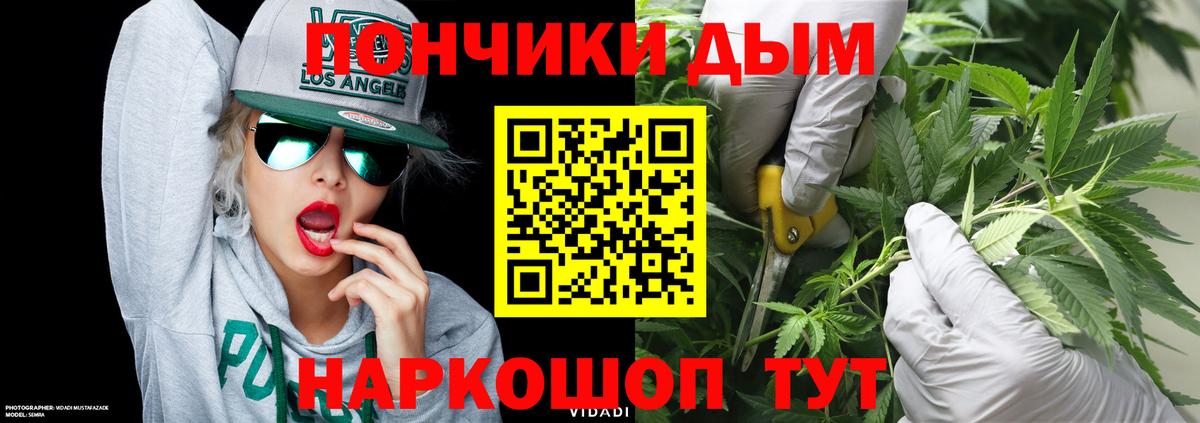 Бошки Шишки Bruce Banner  Марихуана ГИДРОПОН  Старая Купавна  Канабис Amnesia  Вход с VPN  Каннабис сатива 
